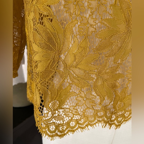 Zara lace top - Picture 5 of 7